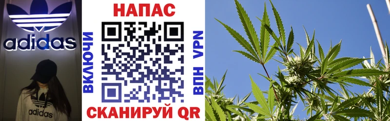 Шишки марихуана SATIVA & INDICA  Венёв 